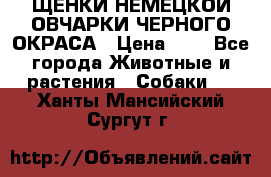 ЩЕНКИ НЕМЕЦКОЙ ОВЧАРКИ ЧЕРНОГО ОКРАСА › Цена ­ 1 - Все города Животные и растения » Собаки   . Ханты-Мансийский,Сургут г.